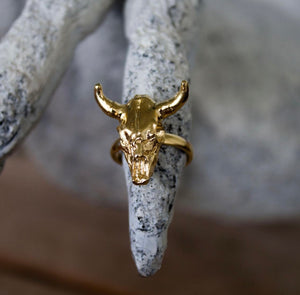 Anillo De Toro