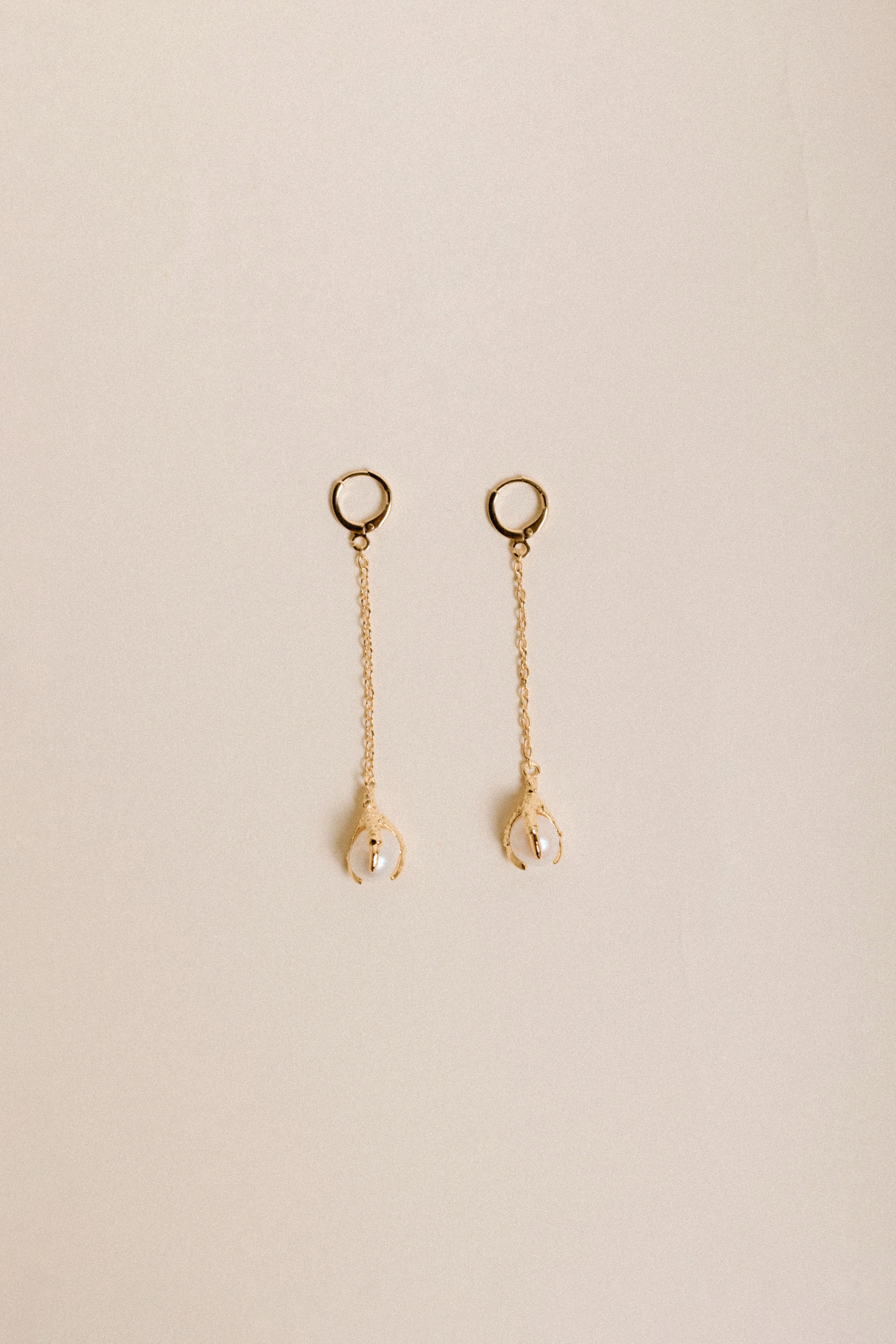 Aretes Garra Colgante