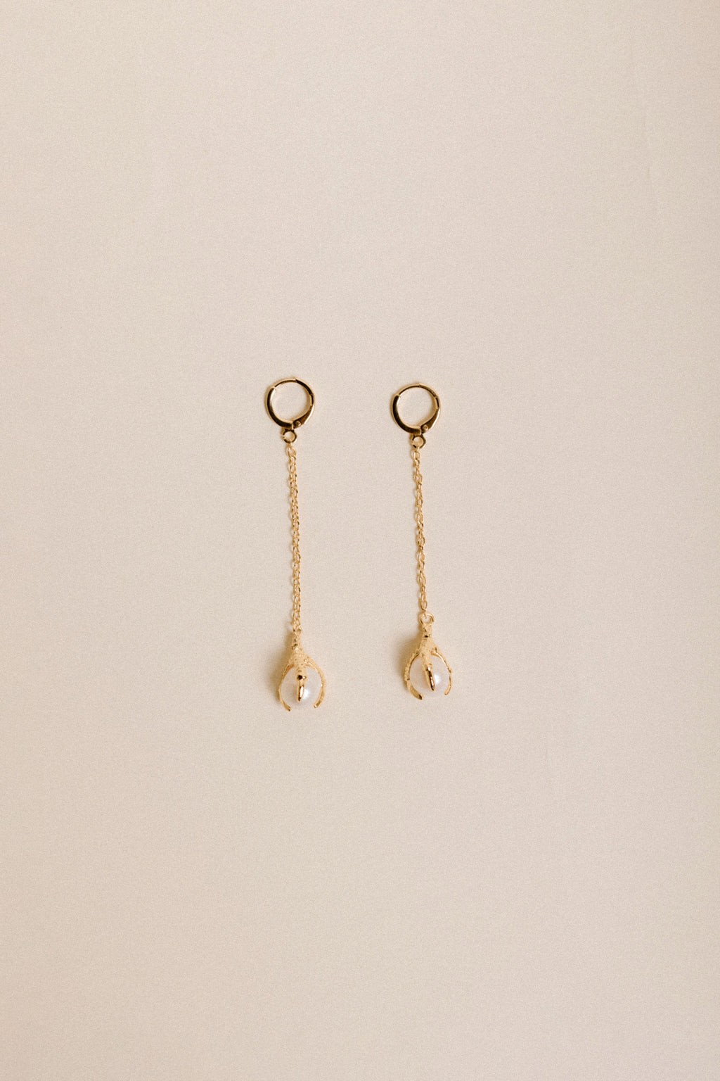 Aretes Garra Colgante