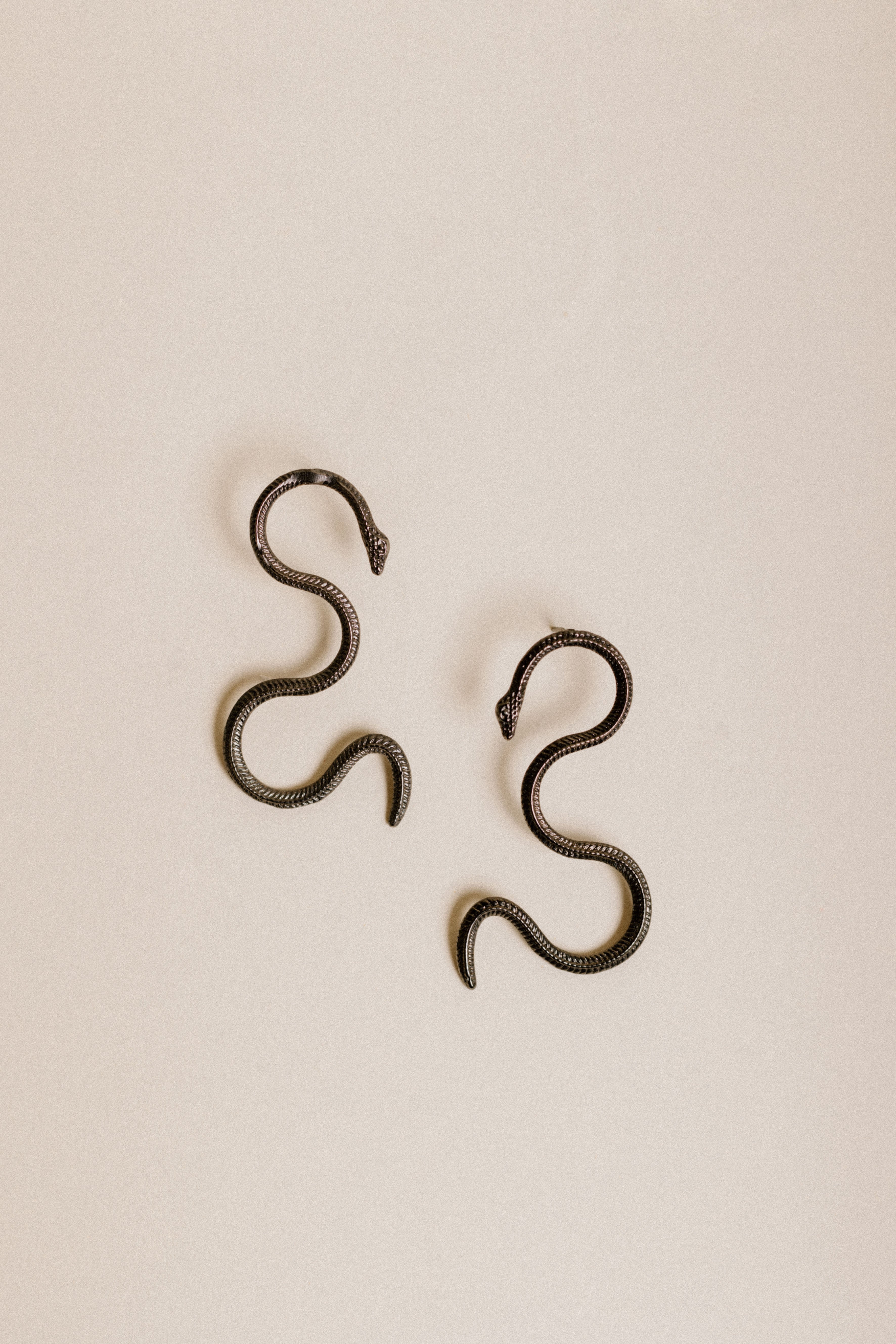 Aretes Serpiente Negra