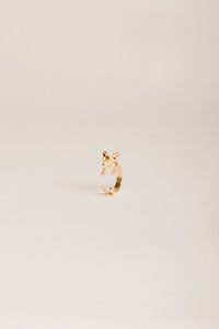 Anillo Pug